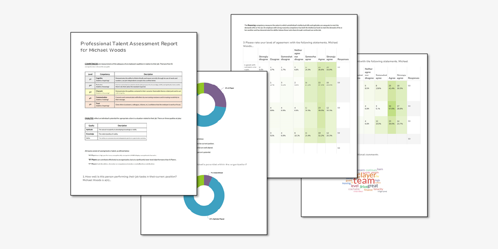 Professional Talent Assessment Sample Report
